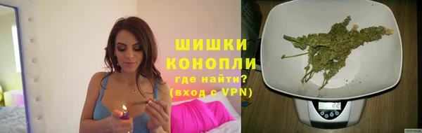 твердый Медногорск