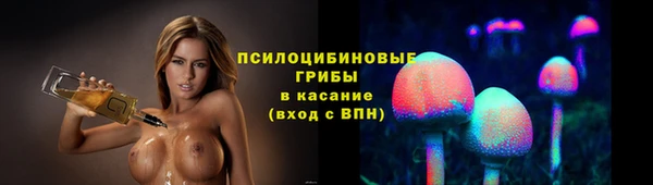 spice Мегион