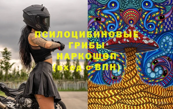твердый Медногорск