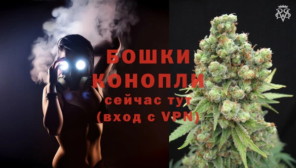 твердый Медногорск