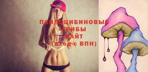 кокс Медвежьегорск