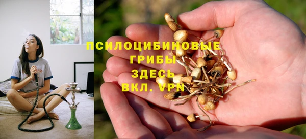 твердый Медногорск