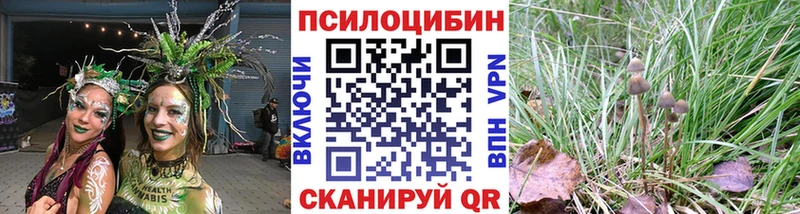 Галлюциногенные грибы MAGIC MUSHROOMS  наркота  Хвалынск 